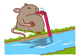 no moreのイラスト